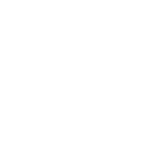 Interscan Performance